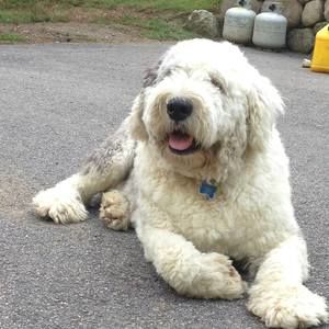 Meet your Posher, Carrie